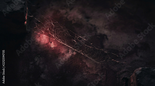 Delicate Spider Web with Crimson Light on Aged Surface