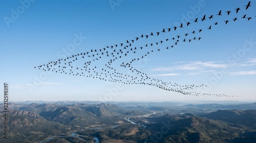 Migrating birds flying in formation over mountains, large flock of wild birds in blue sky, aerial view of bird migration