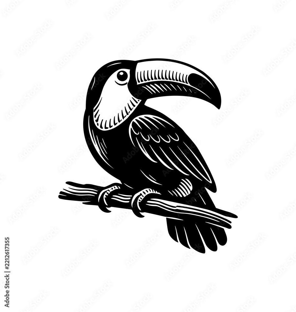 Fototapeta premium Black and White Toucan Illustration