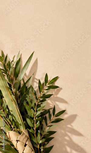 Lulav arrangement on cream studio background with copy space
