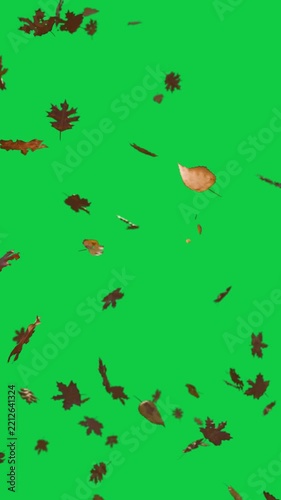 Vertical video: Gust sending leaves falling turning and layering on transparent bg forming depth
