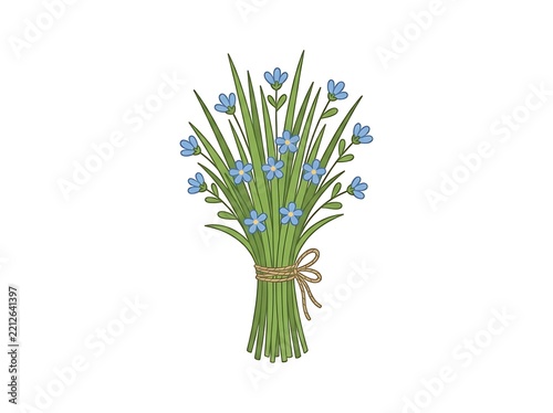 Bundle of blue flowers tied with ribbon