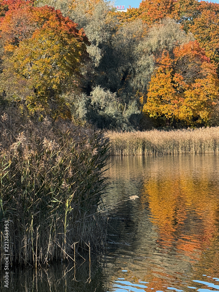 Obraz premium Autumn Landscape Reflected in the Calm Water of a Bay in Helsinki