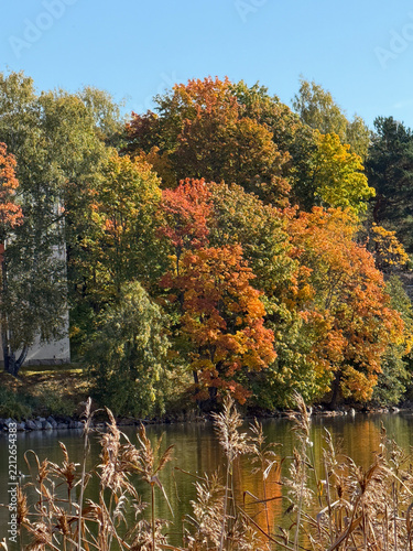  Colorful Autumn Trees in a Peaceful Bay in Helsinki 