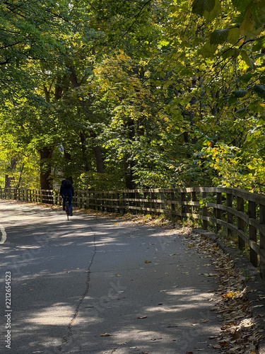 walk in the park on a road shaded by trees