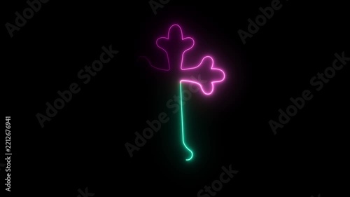 Bicolored neon cross outline in turquoise and pink on black