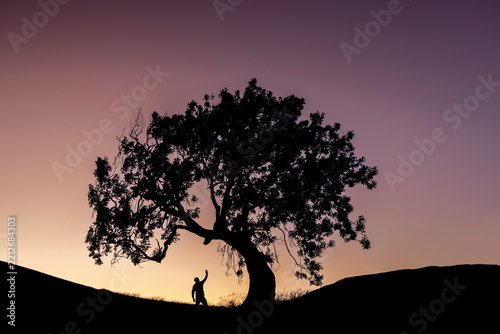 Lone tree known as the Frandy tree, Located in Perthshire Scotland.