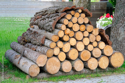 Neatly stacked firewood logs with visible bark and tree rings, forming a rustic woodpile in a green outdoor setting.