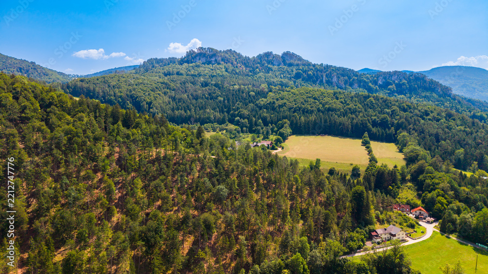 Obraz premium A forested mountain ridge rises above roadside houses.. Green trees cover rocky slopes above a yellow meadow and a curving road beside small buildings.