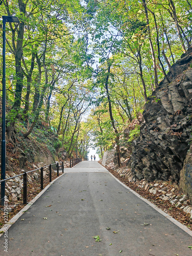 Tree lined asphalt street stretches into the distance with two people walking far up the path