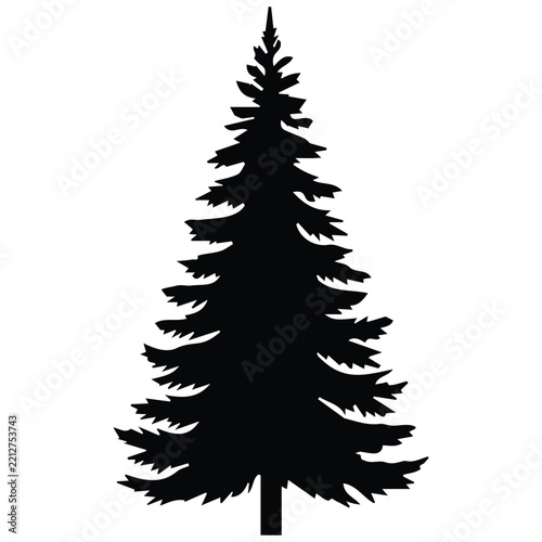Spruce tree silhouette vector illustration showing a classic tall evergreen pine branch.