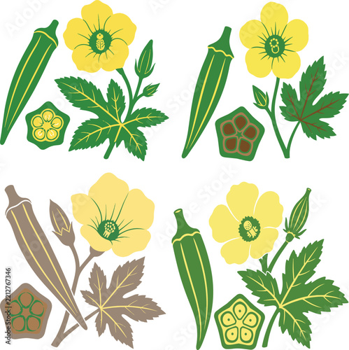 Okra plant set with yellow flowers and green pods in flat vector style