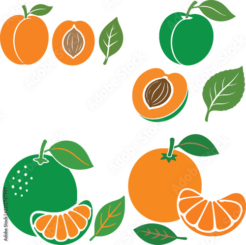 Set of fresh citrus and stone fruit illustrations with leaves