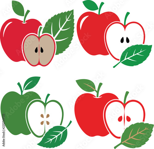Red and green apple fruit collection with leaves in flat vector style