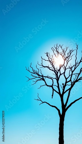 Bare Tree Silhouette against a Bright Blue Sky and Sun