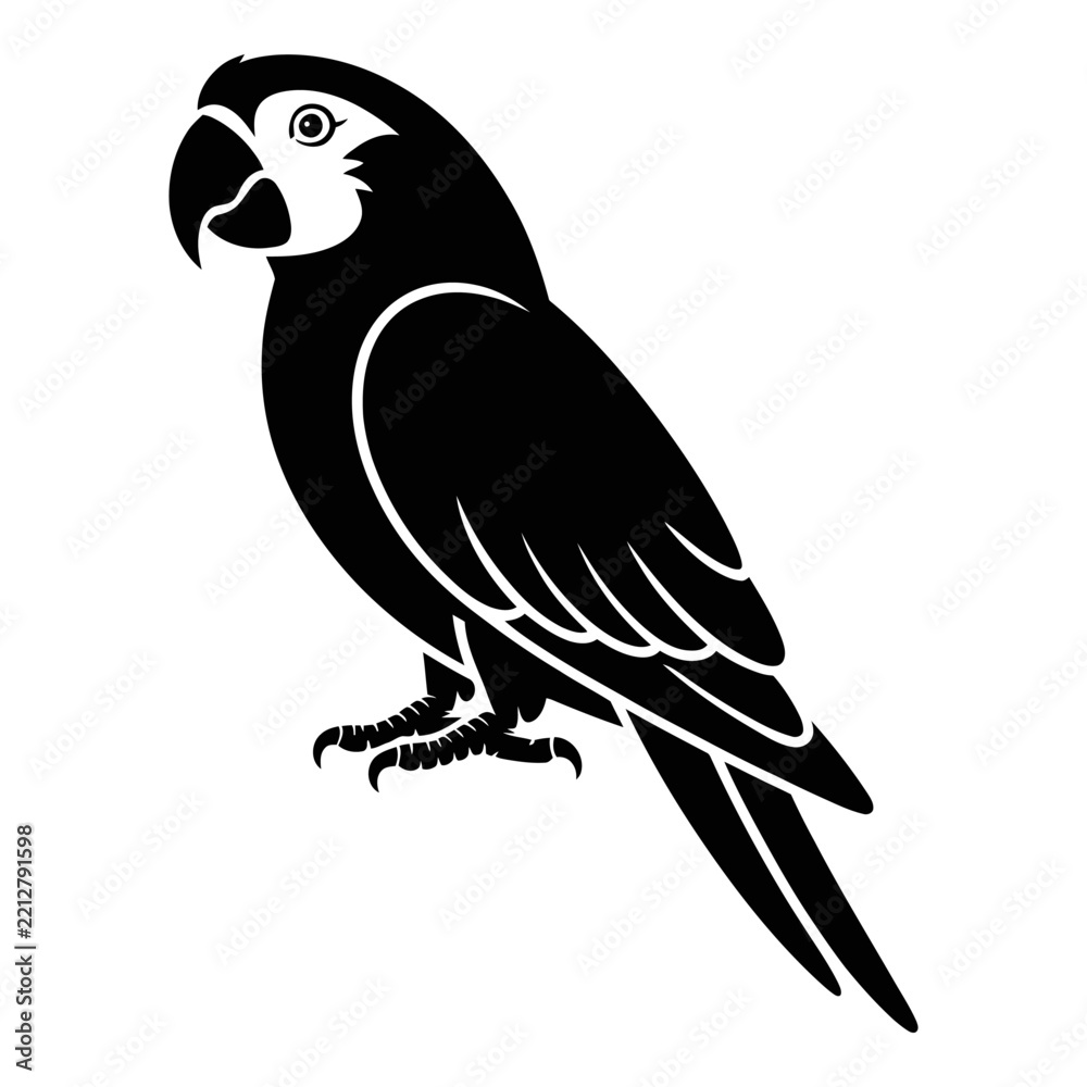 Fototapeta premium Black parrot with detailed plumage is depicted as a silhouette