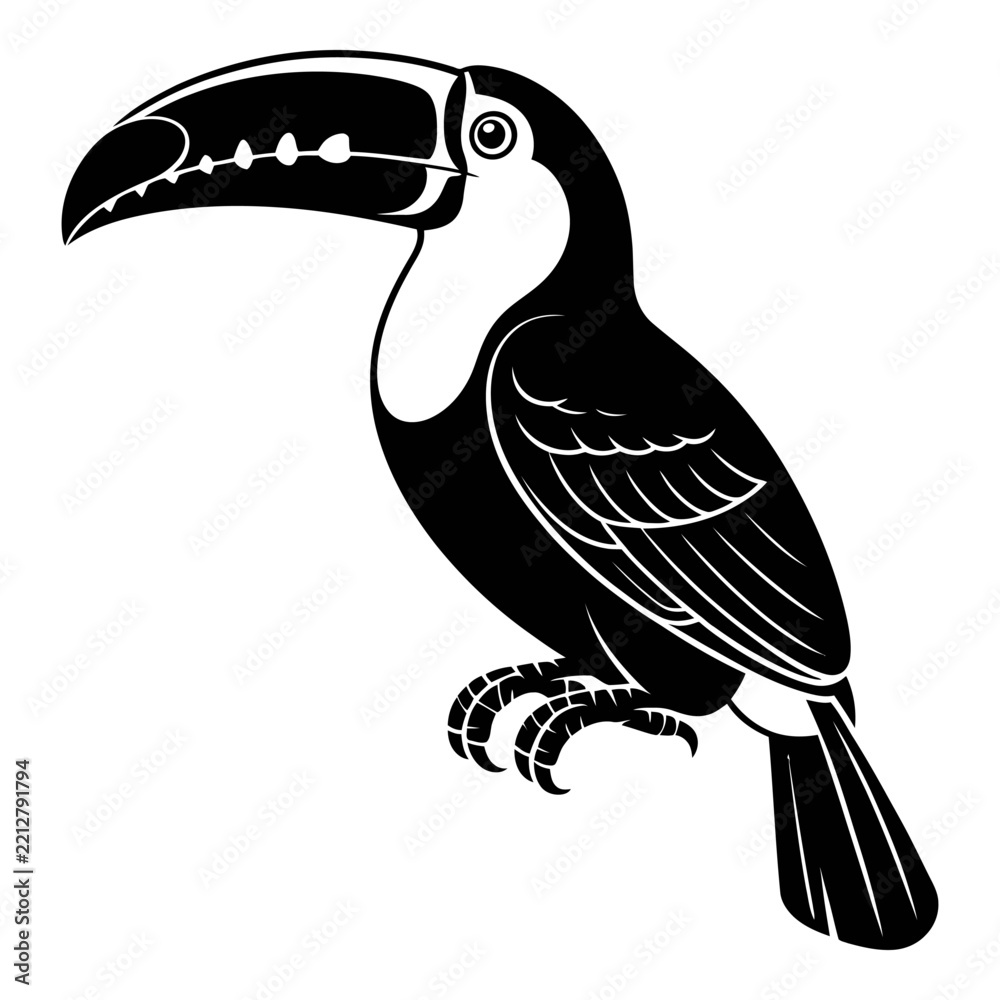 Fototapeta premium Black and white toucan illustration with detailed beak a striking silhouette