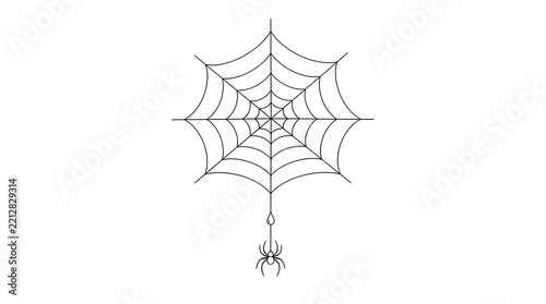 Spider web thin line art hanging spider drawing natural simplicity abstract