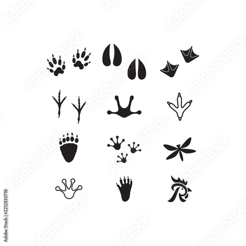 Black and white silhouette vector icons of various animal paw prints and footprints