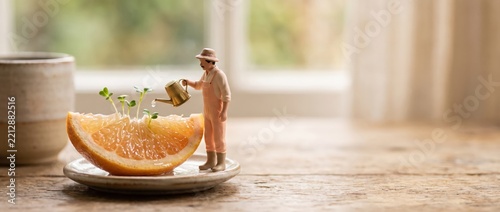 Miniature gardener watering sprouting microgreens growing from grapefruit slice on rustic wooden table
