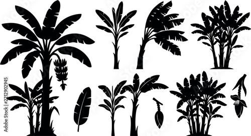 Collection of banana plant silhouettes showcases tropical foliage against a white background plants silhouette leaves