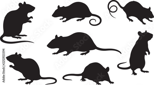 Set of black rat silhouettes in various poses including standing, crouching, and walking with long tails also transparent background