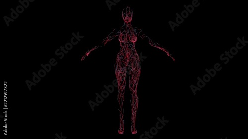DIgital data woman, this is not AI generated.