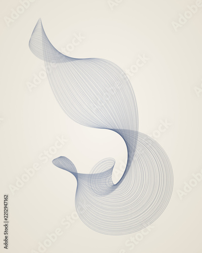 Courbes dynamiques et lignes fluides