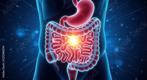 Human digestive system anatomy with glowing stomach and intestines on blue background