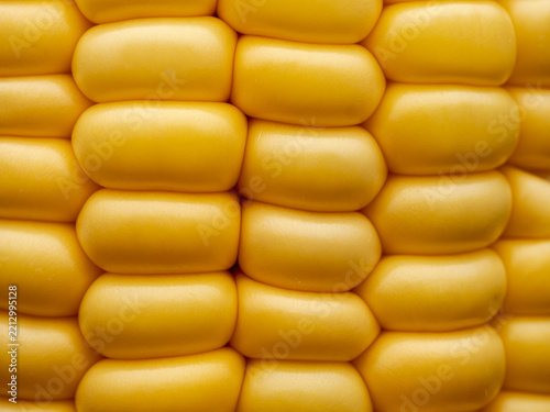 corn on a cob