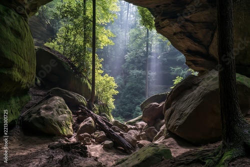 Sunlight streams through a forest cave entrance with mossy rocks