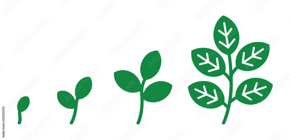Obraz premium Growth stages of a plant: A sequence illustrating the progression of a plant from a tiny sprout to a developed leafy stem, symbolizing growth and development.