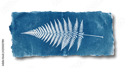 Cyanotype print of a single fern leaf on textured, rectangular paper with rough, deckled edges, featuring a white silhouette against a deep prussian blue background