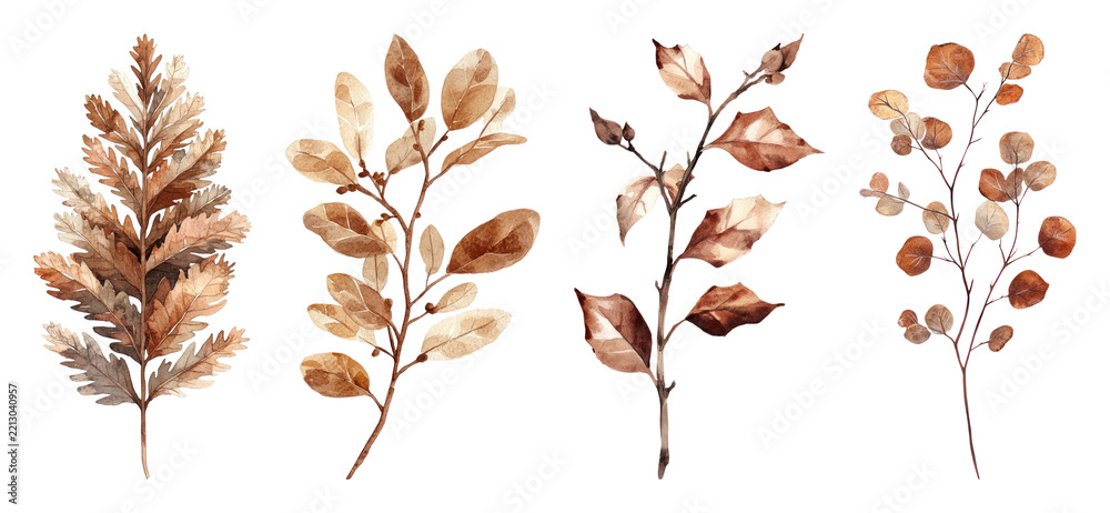 Fototapeta premium PNG Elegant autumn leaves clipart collection, transparent background