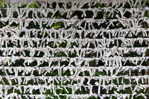 Many omikuji paper fortunes tied to racks at a Shinto shrine in Zojoji Temple, Tokyo, Japan, left by visitors to ward off bad luck and seek good fortune.