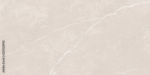 Fotografie Natural taupe grey stone texture featuring bold white branching veins and mottle