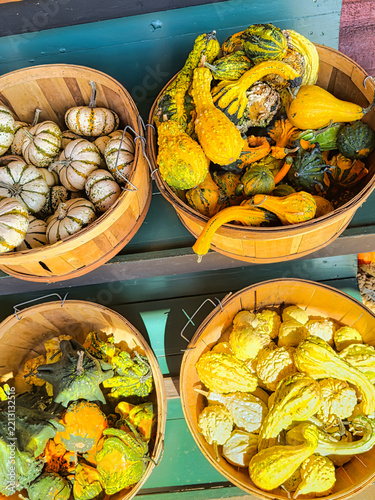 Strange gourds in.a market.