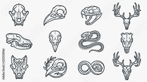 Diverse Animal Skulls and Antlers Line Art Collection for Design Projects