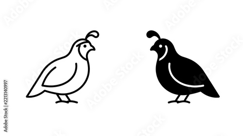 California quail birds icon pair, male and female, minimal line art style isolated on transparent background