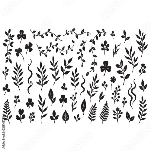 trees leaf isolated png on a transparent background perfectly cutout.
