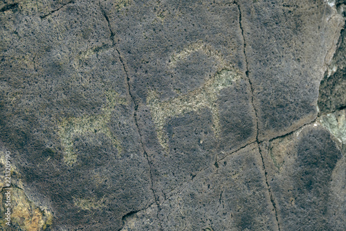 Ancient petroglyphs carved on rock depicting mountain goats