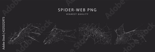 Set of realistic spider web elements for spooky halloween decorations and dark gothic design projects