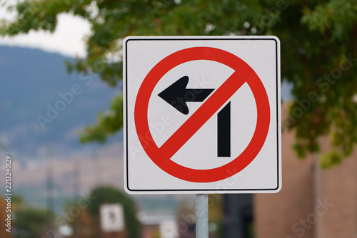 No left turn street sign with tree leaves and mountain in the background.