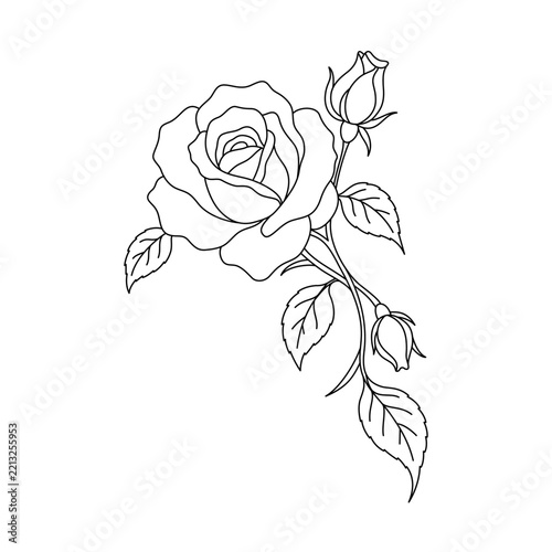 Cascading Rose Floral Crest with Buds and Leaves Botanical Line Art Vector