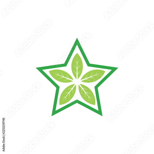 Eco Friendly Green Star Icon. Green Star Emblem With Leaf Design.