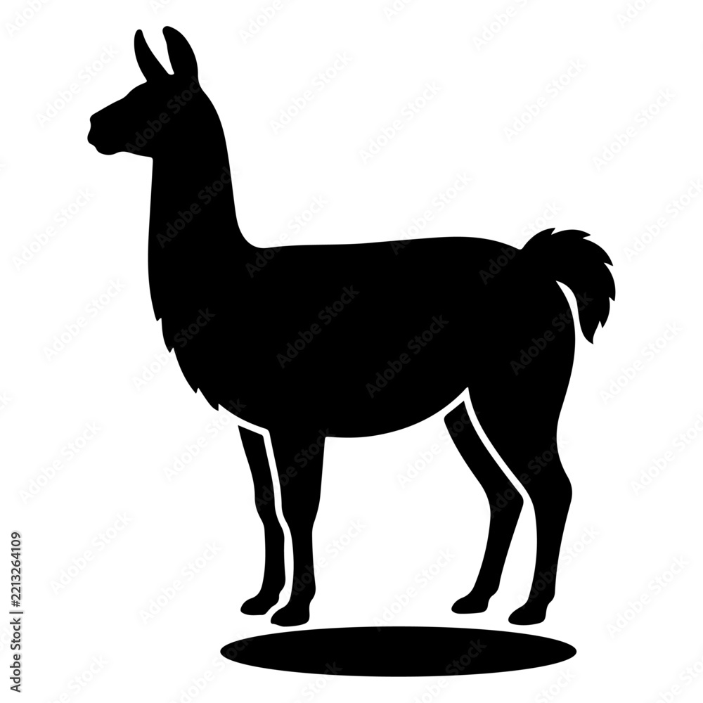 Fototapeta premium Black Silhouette of a Llama Standing Isolated on a White Background for Graphic Design Use