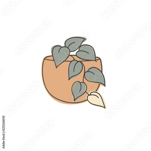 Potted plant with green leaves