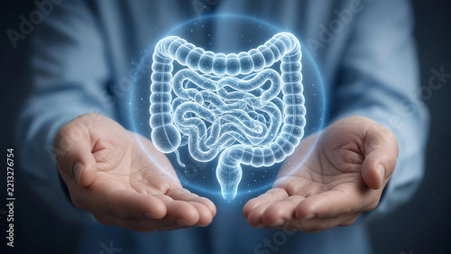 Person holding holographic human digestive system model for medical education or health awareness