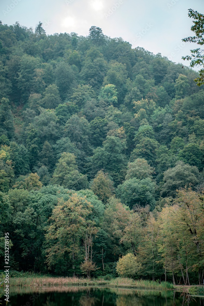Fototapeta premium mountain landscape with trees