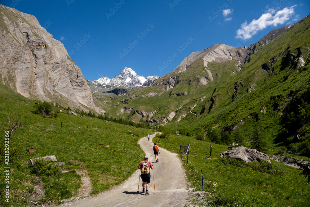 Obraz premium Den Großglockner im Blick,Wanderer im Ködnitztal